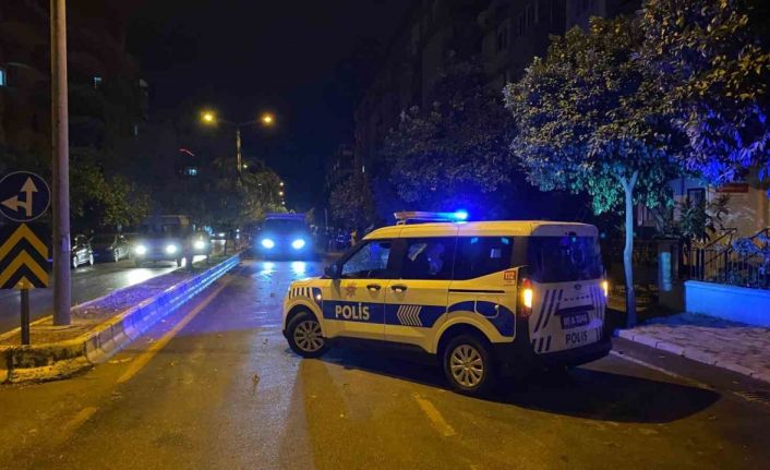 Devrilen ağaç yolu trafiğe kapattı