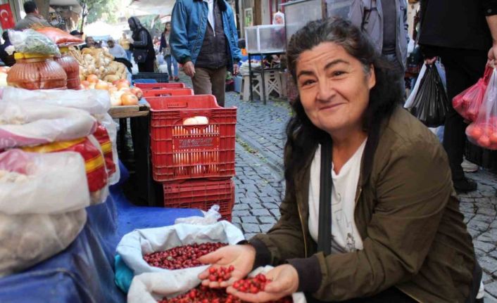 Dikenlerin arasında zahmetle toplanan kuşburnu, tezgahlarda yerini aldı