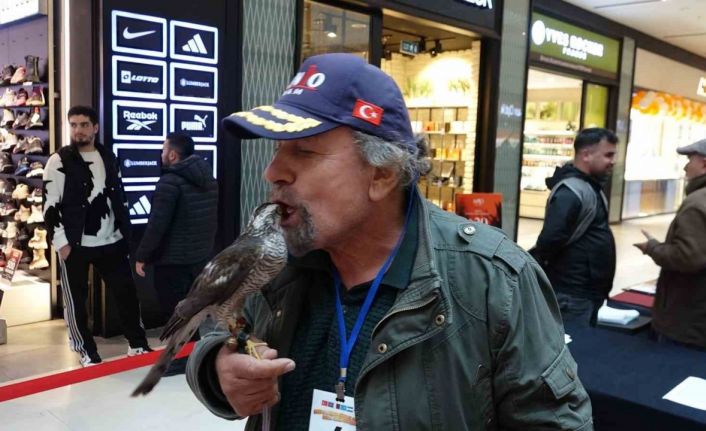 Dişi atmacalar AVM’de kendileri için düzenlenen güzellik yarışmasında boy gösterdi