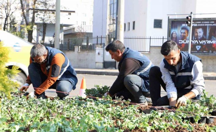 Diyarbakır 1 milyon çiçekle renkleniyor