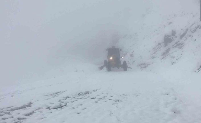 Diyarbakır’da kar nedeniyle kapanan 98 köy yolu ulaşıma açıldı