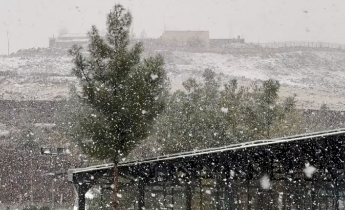 Diyarbakır’da lapa lapa kar yağışı