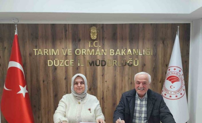 Düzce kestane balında kalite ve marka değeri için güç birliği