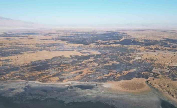 Eber Gölü’ndeki yangınlar çevre felaketine sebep oldu