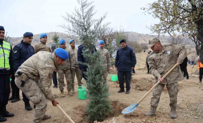 Elazığ’da 2 bin 300 fidan toprakla buluştu