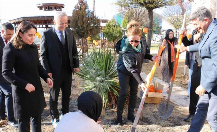 Elazığ’da kadına yönelik şiddetle mücadele için fidanlar toprakla buluştu