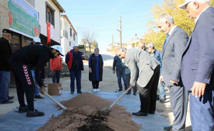 Elazığ’da organik mercimek üretimi artıyor