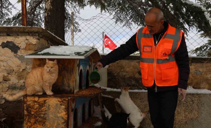 Elazığ’da sokak hayvanları için doğaya yem bırakıldı