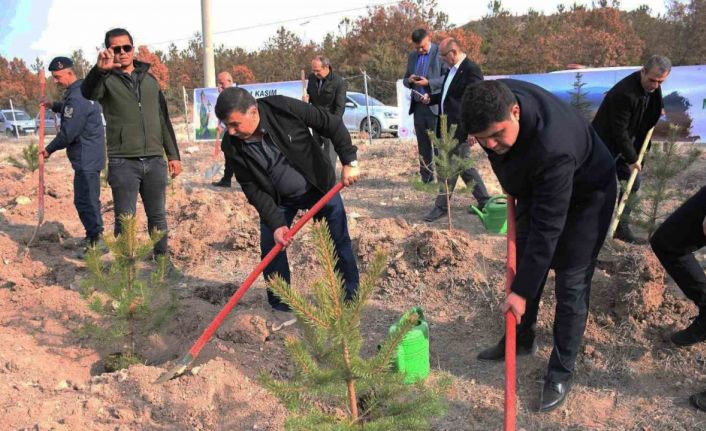 Emet’te 300 fidan toprakla buluştu