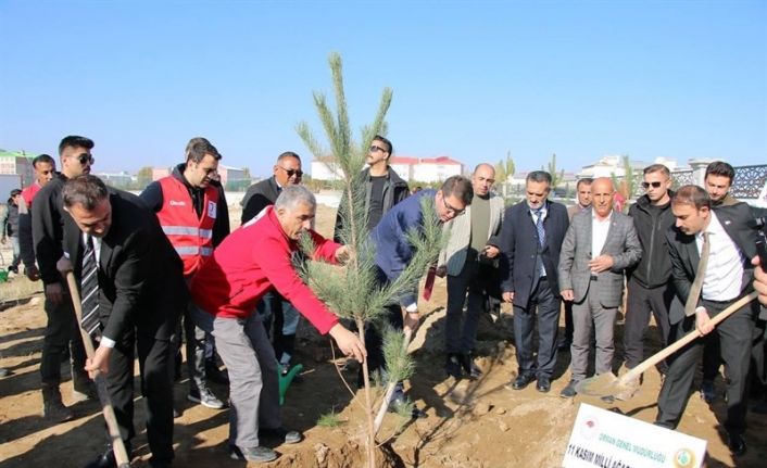 Erciş’te fidan dikme etkinliği