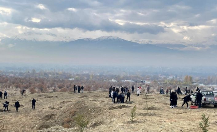 Erzincan’da dağa taşa umut ekiyorlar