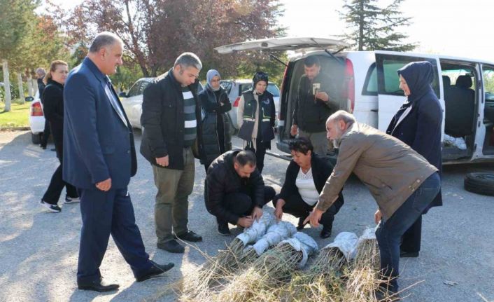 Erzincan’da goji berry yetiştiriciliği başladı