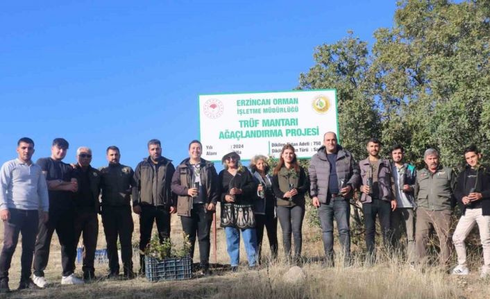 Erzincan’da ilk defa trüf mantarı ormanı oluşturuldu