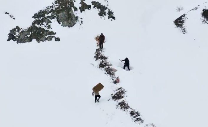 Erzincan’da yaban hayvanları için doğaya yem bırakıldı