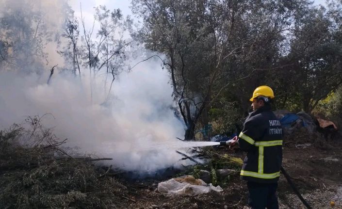 Erzin’de zeytin bahçesinde çıkan yangın söndürüldü