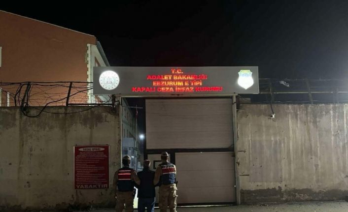 Erzurum’da jandarmadan kaçak şahıslara operasyon