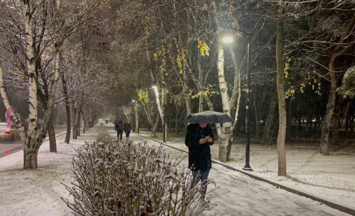 Erzurum’da kar yağışı etkili oluyor