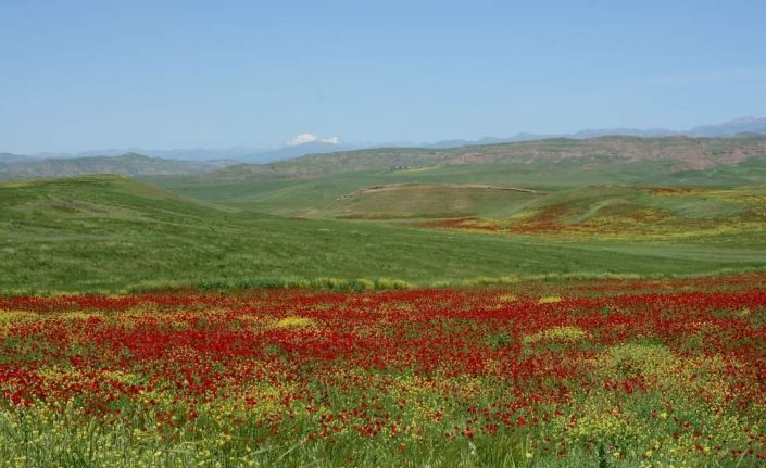 Garzan Ovası büyük ova ilan edildi