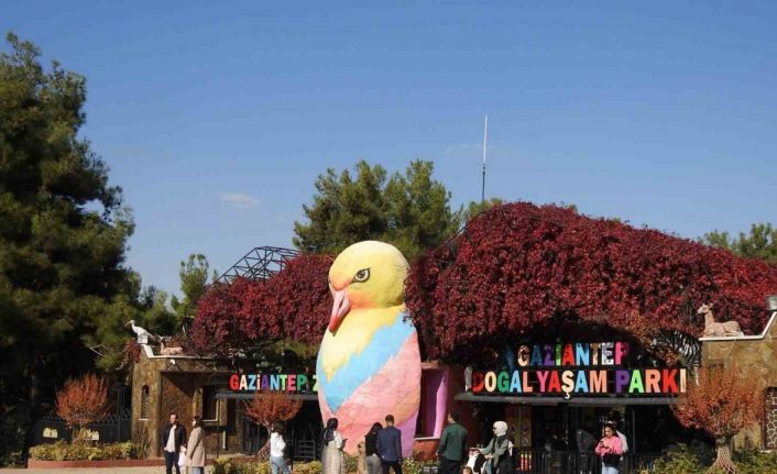 Gaziantep Doğal Yaşam Parkı’na ara tatilde ziyaretçi akını