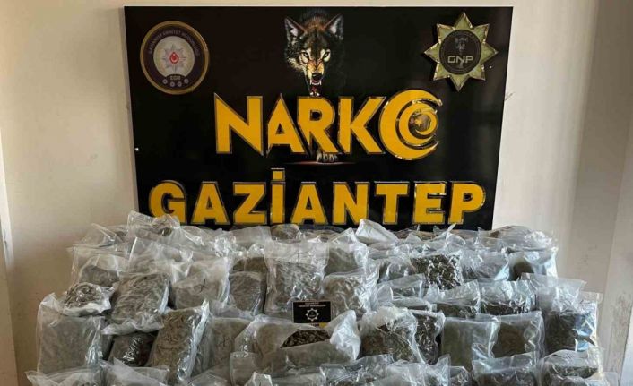 Gaziantep’te 104 kilo skunk ele geçirildi