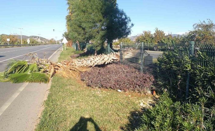 Gazipaşa’da fırtına 250 hektarlık sera alanını vurdu