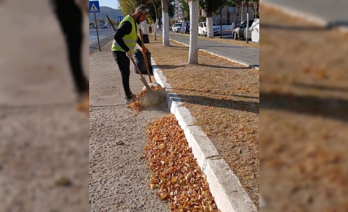 Germencik’te ’sonbahar’ temizliği