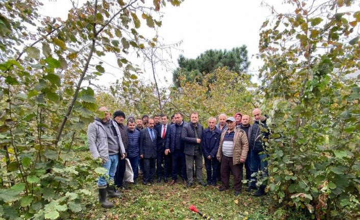 Giresun’da fındık verimini artıracak eğitim düzenlendi