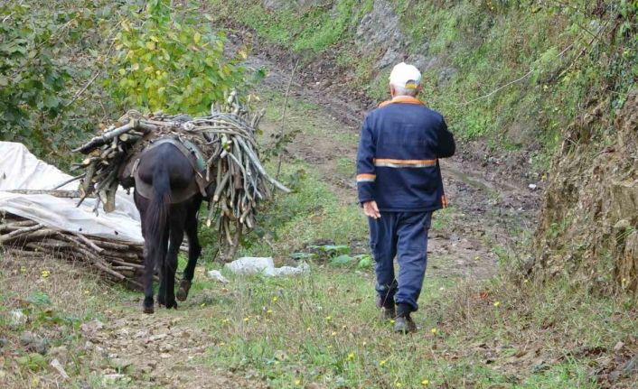 Giresun’un köylerinde katırcılık sona eriyor