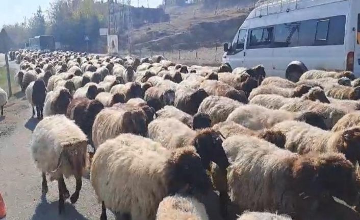 Göçerlerin yaylalardan dönüş yolculuğu hız kazandı