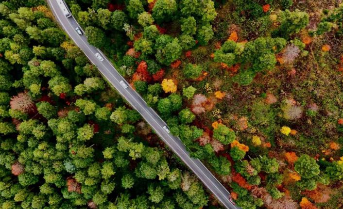 Gölcük Tabiat Parkı’nda mest eden sonbahar görüntüsü