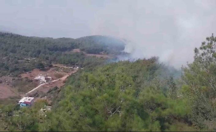 Hatay’da orman yangını