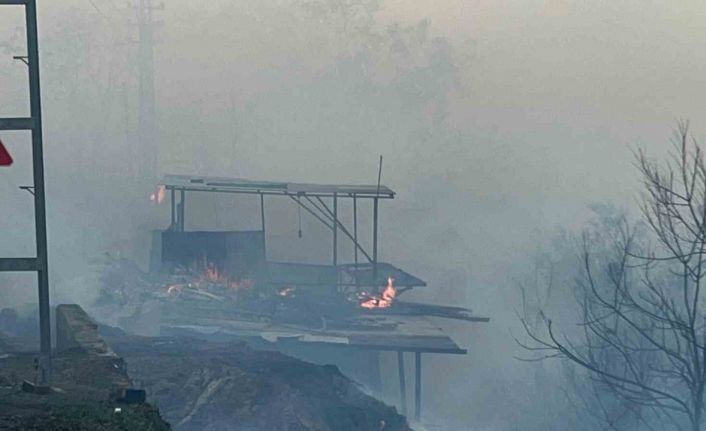 Hatay’da orman yangını evlere sıçradı