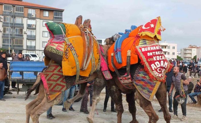 Havut Hayrı güreş severleri buluşturdu