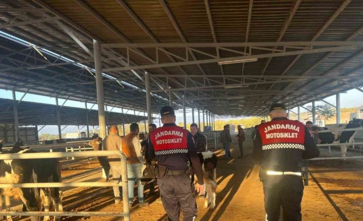 Hayvan pazarında ’dolandırıcılık’ kontrolü