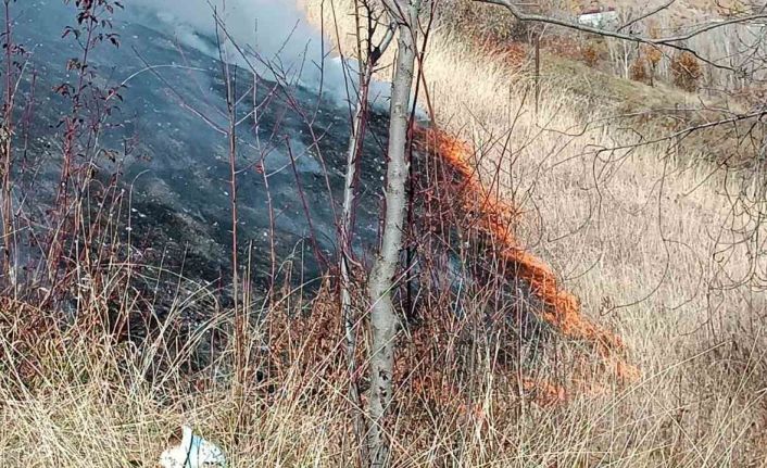 Hizan’da kuru ot yangını büyümeden söndürüldü