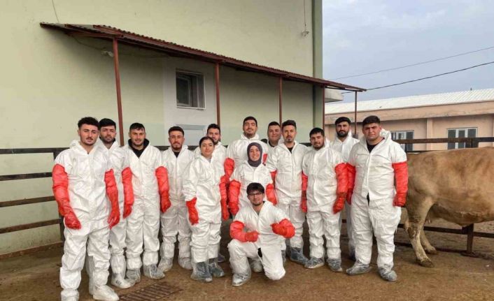 Iğdır’da veteriner sağlık teknisyenlerine suni tohumlama kursu düzenlendi