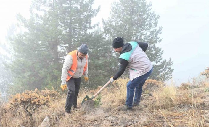 Isparta Belediyesi Gölcük Tabiat Parkı’nda fidanlar toprakla buluşturuldu