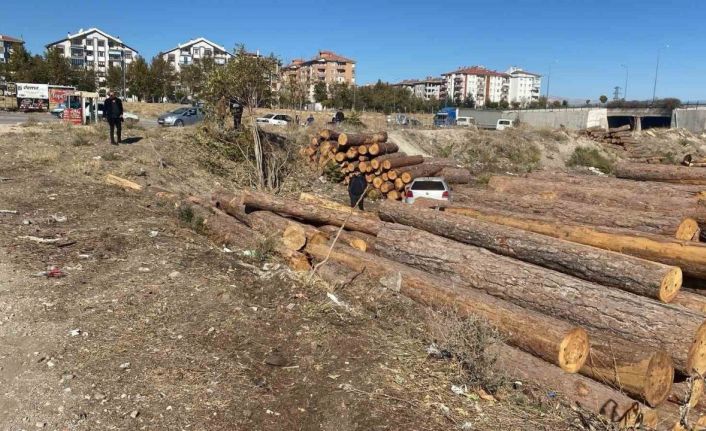 Isparta’da kontrolden çıkan otomobil tomrukların üzerinden düştü: 2 yaralı