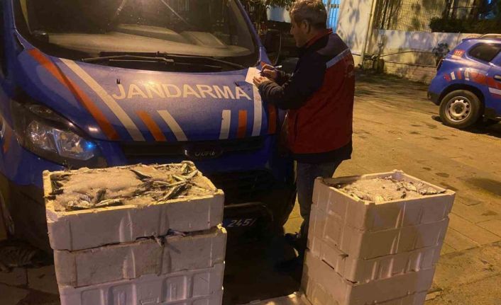 İstanbul’da yasadışı küçük boy balık nakli yapanlara ceza yağdı