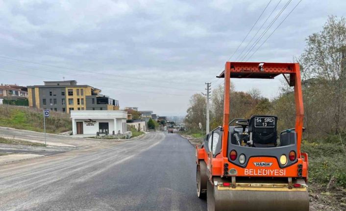 İstiklal Mahallesi 336. Sokak konfora kavuştu