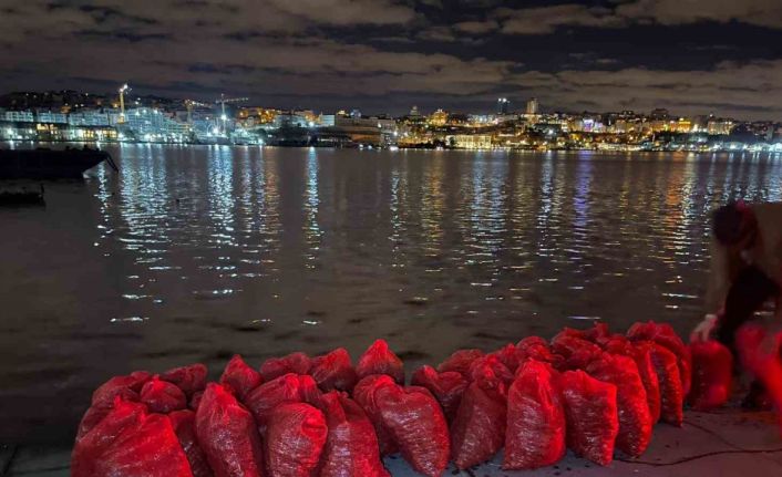 Kadıköy’de 1 ton kaçak midye ele geçirildi