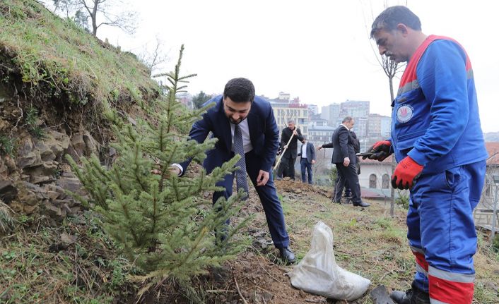 Kağıthane’de yeşil gelecek: Her bebek bir ağaçla büyüyor