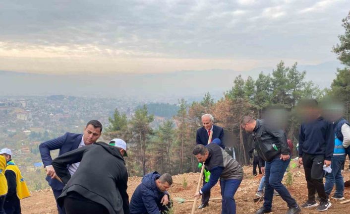 Kahramanmaraş’ta denetimli hükümlüler fidan dikti