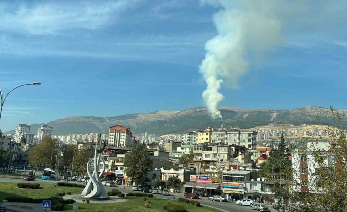 Kahramanmaraş’ta orman yangını