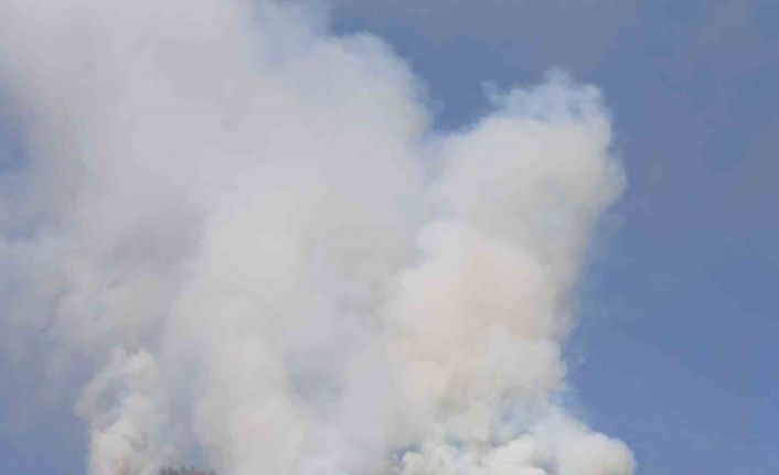 Kahramanmaraş’ta orman yangının kontrolü altına alındı