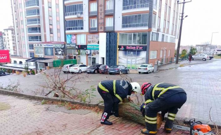 Kahramanmaraş’ta sağanak ve kar yağışı etkili oldu