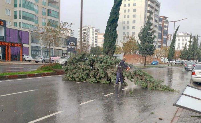 Kahramanmaraş’taki fırtına saatte 95 kilometre hıza ulaştı