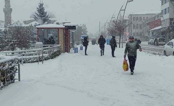 Kar Erzurum’u esir aldı