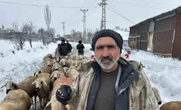 Kara kışa hazırlıksız yakalanan çobanlar yayladan erken indi