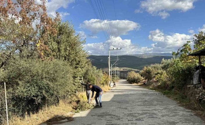 Karacasu’da mahalleler temizleniyor